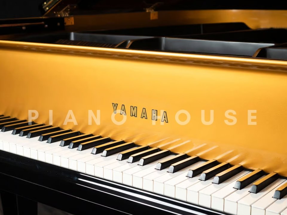 Hình ảnh chi tiết Yamaha G2 Black & Gold Polyester góc chụp 7